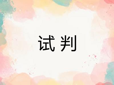 试判