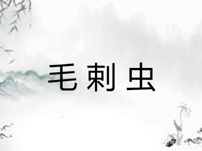 毛剌虫