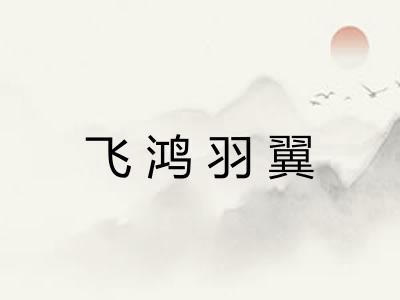 飞鸿羽翼 飞鸿羽翼