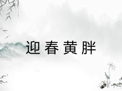迎春黄胖