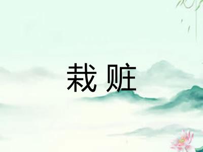 栽赃 栽赃
