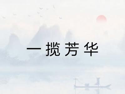 一揽芳华