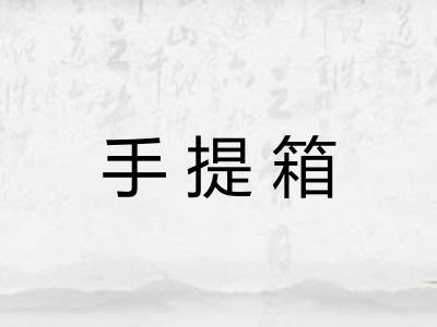 手提箱 手提箱