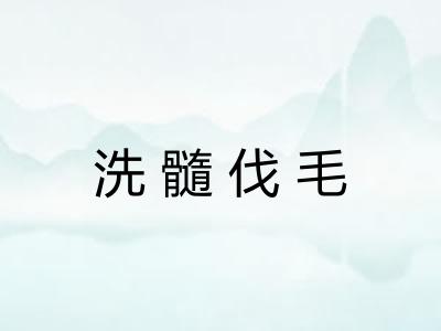 洗髓伐毛 洗髓伐毛