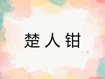 楚人钳