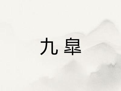 九皐 九皐