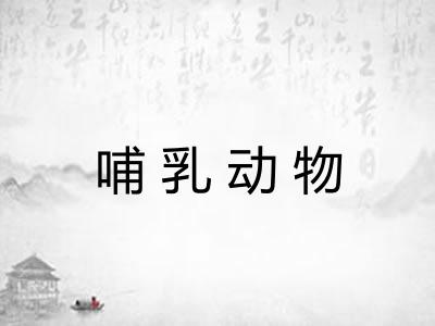 哺乳动物