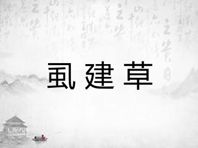 虱建草