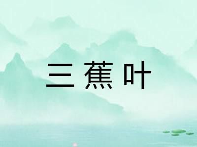 三蕉叶