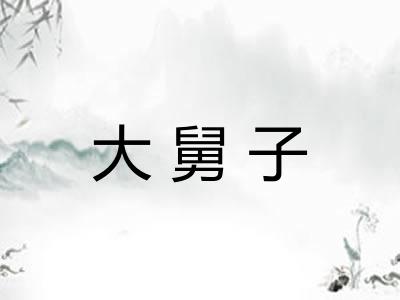 大舅子