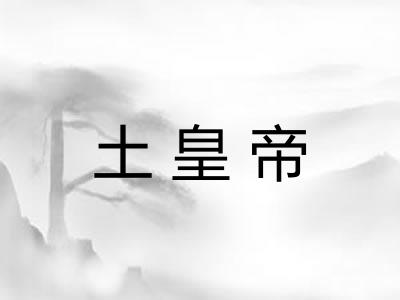 土皇帝