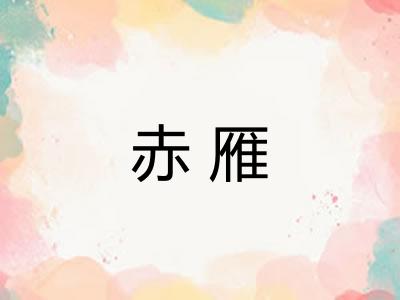 赤雁