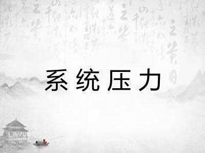 系统压力