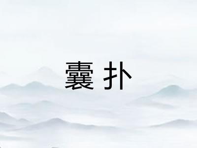 囊扑 囊扑