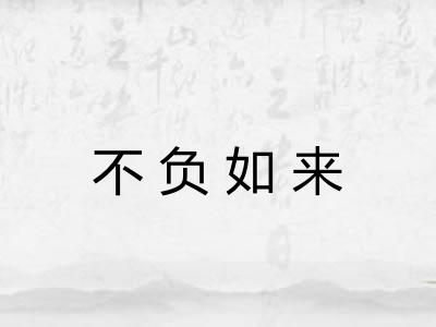 不负如来 不负如来