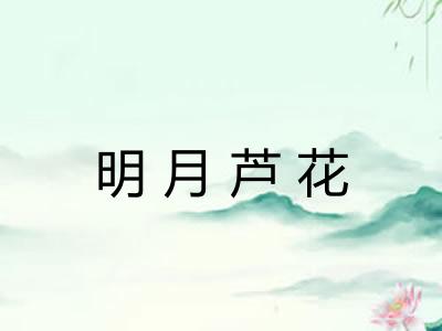 明月芦花 明月芦花