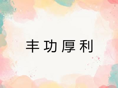 丰功厚利 丰功厚利