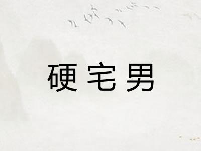 硬宅男