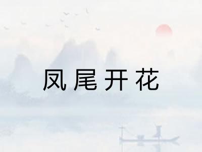凤尾开花
