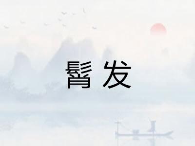 髾发