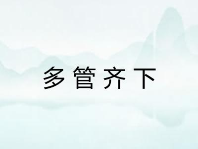 多管齐下 多管齐下