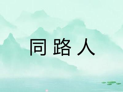 同路人 同路人