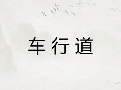 车行道