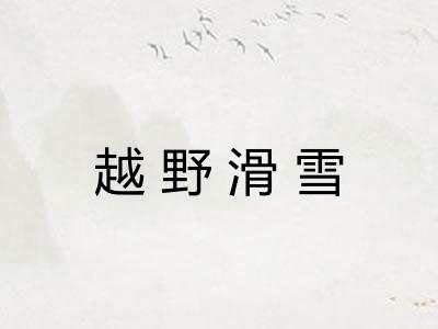 越野滑雪 越野滑雪