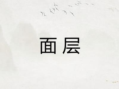 面层 面层
