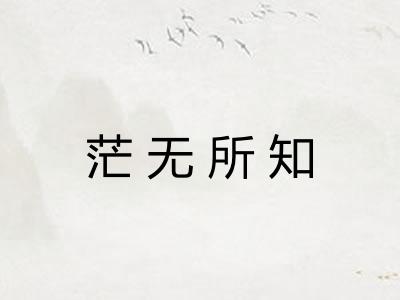 茫无所知