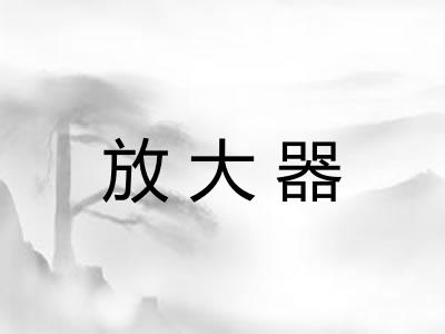 放大器 放大器