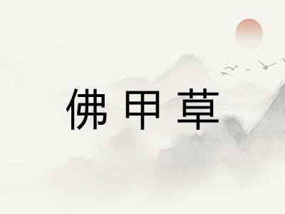 佛甲草