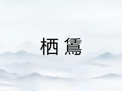 栖鵀 栖鵀