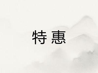 特惠