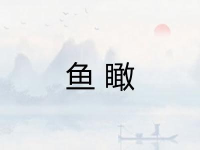 鱼瞰