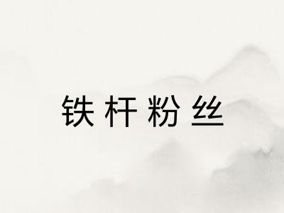 铁杆粉丝 铁杆粉丝