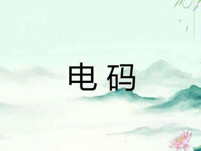 电码