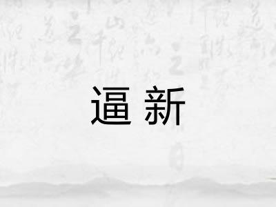 逼新
