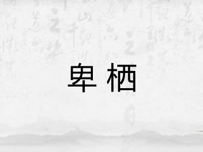 卑栖