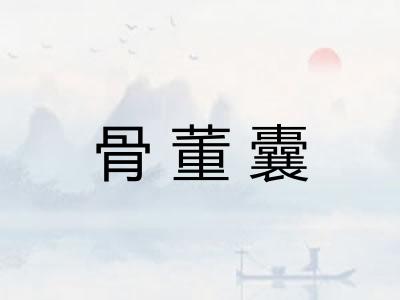 骨董囊 骨董囊