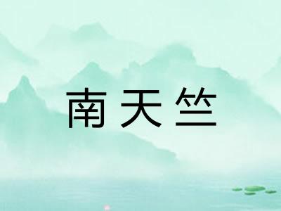 南天竺 南天竺