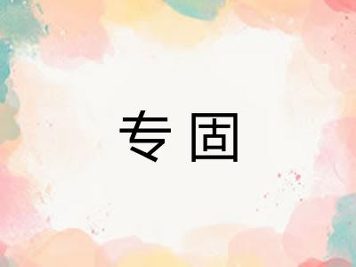 专固