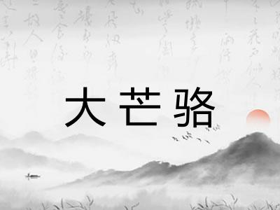 大芒骆