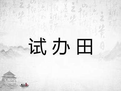 试办田