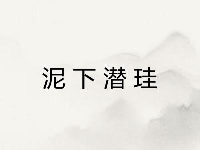 泥下潜珪