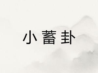 小蓄卦