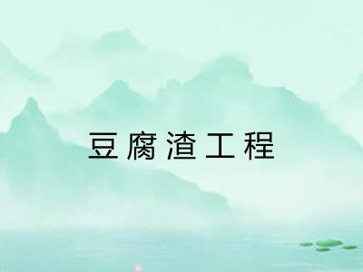 豆腐渣工程 豆腐渣工程