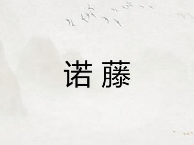 诺藤