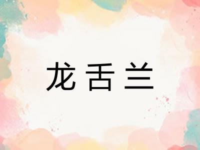 龙舌兰