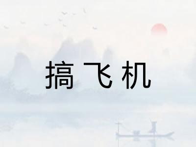 搞飞机